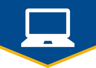 Online Delivery Format