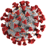 virus