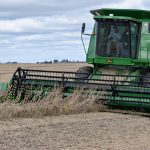 Student and instructor driving a combine through soybeans.