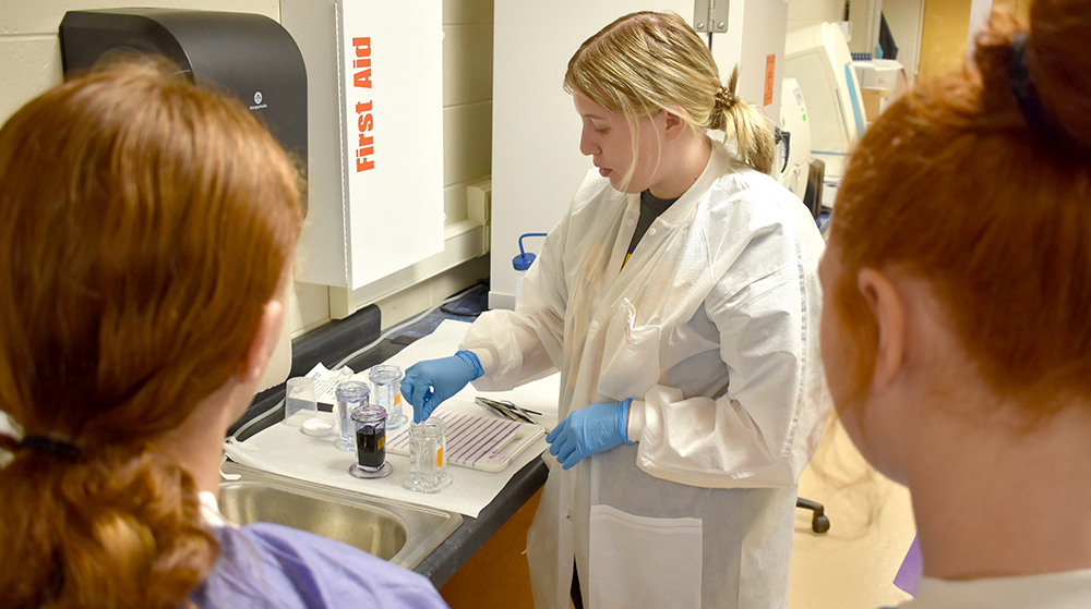 Image for From exploration to impact: Poad’s MLT journey article