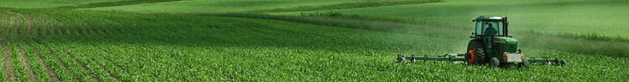 Agriculture - tractor spraying field