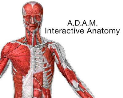A.D.A.M. Program